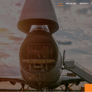 international logistics service provider